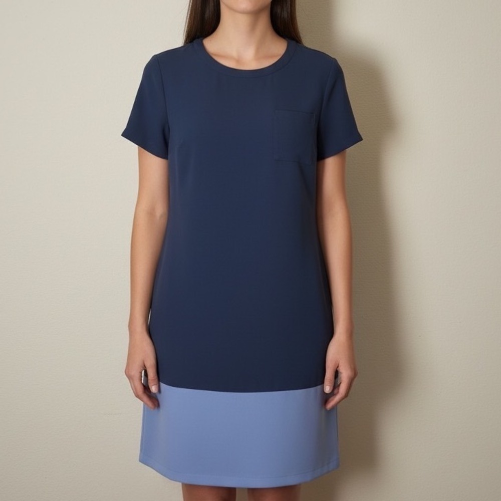 Adrienne Vittadini Navy Blue Colorblock Shift Dress Size 10 Short Sleeve Pocket